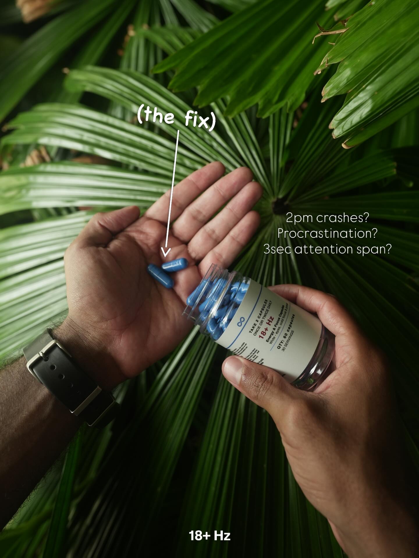 Focus & Energy Capsules